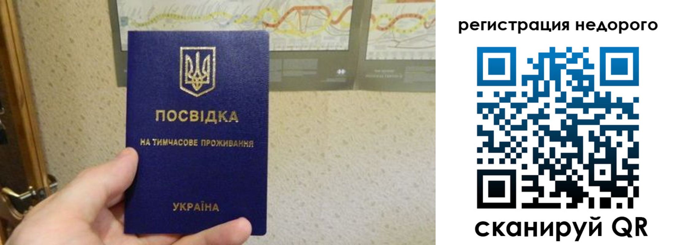 прописка для работы в Щёкино